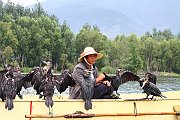 IMG_7688