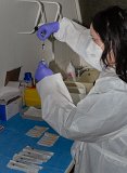 _MG_196075