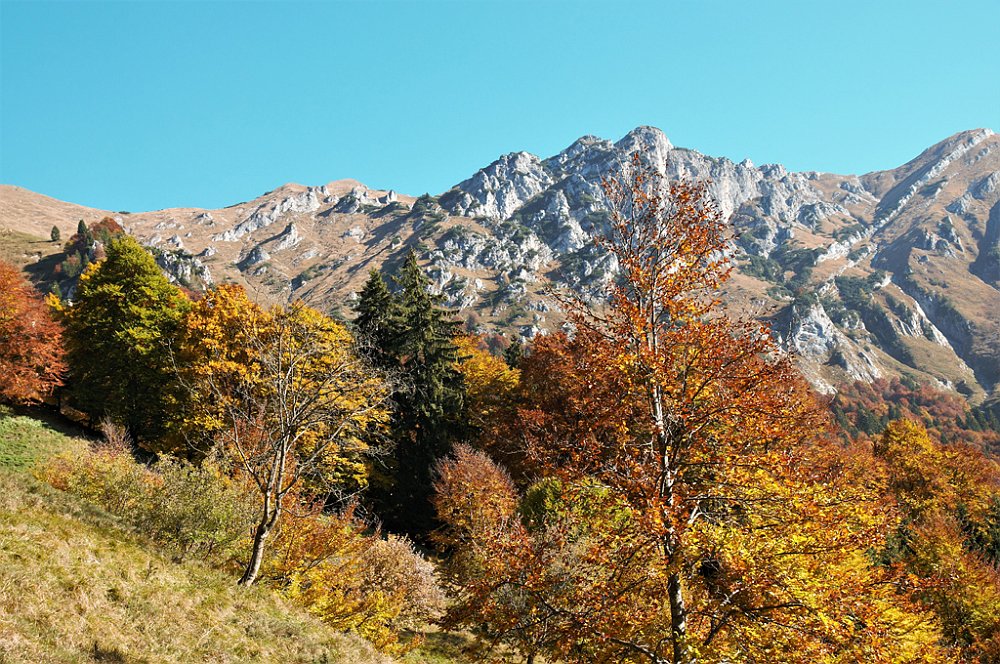 FPP_0011.jpg