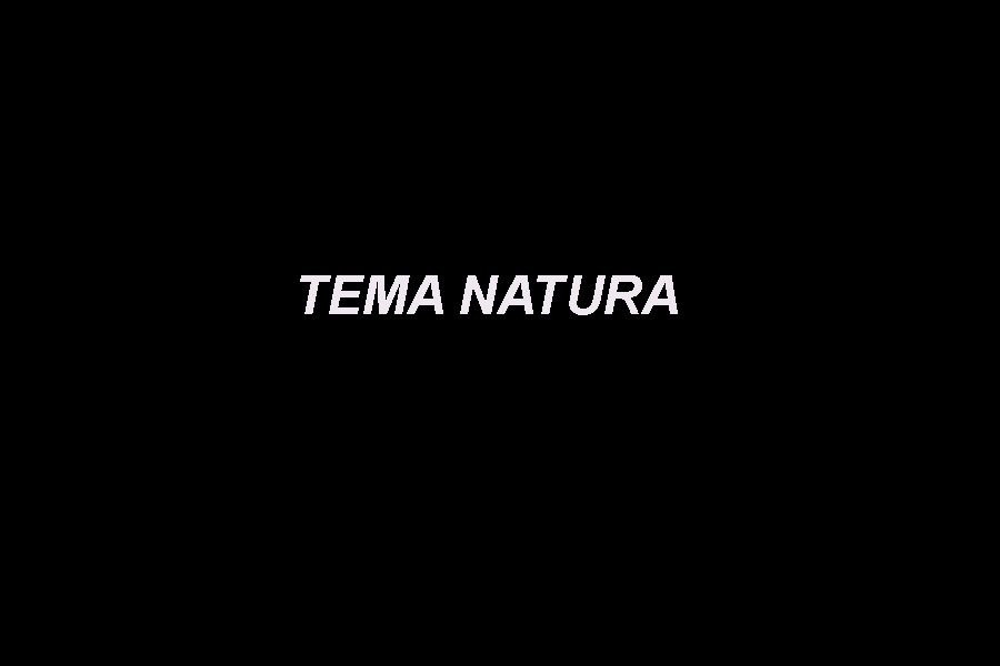 Natura.jpg